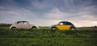 Two Volkswagen beetles in a field.